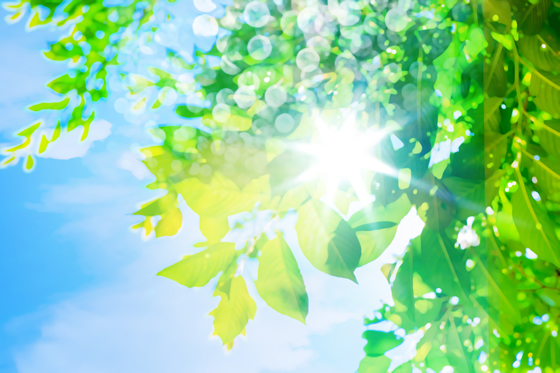 青島鈴誠(chéng)粧器有限公司 環(huán)境サステナビリティ 環(huán)境 CO2削減